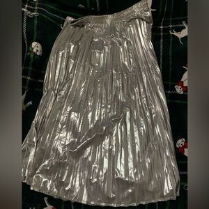 Silver Pleated Skirt